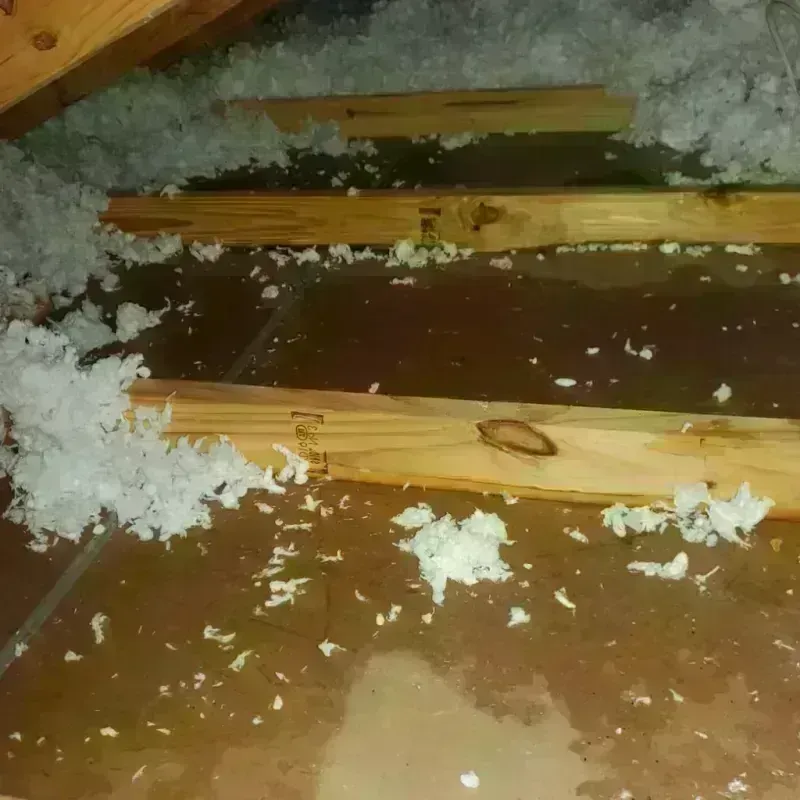 Attic Water Damage in Scurry County, TX